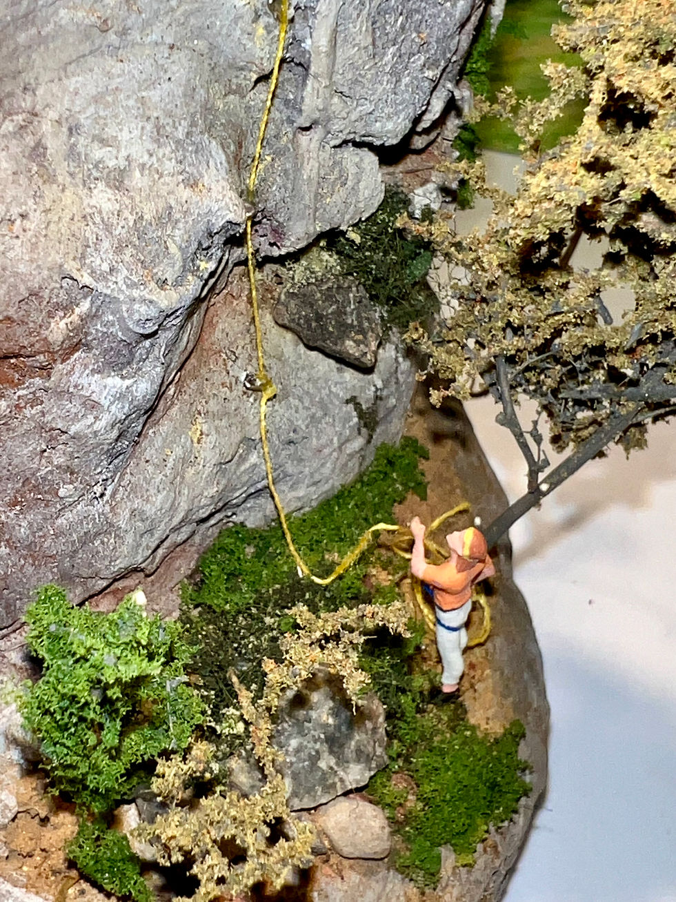 Miniature : assureur en grimpe