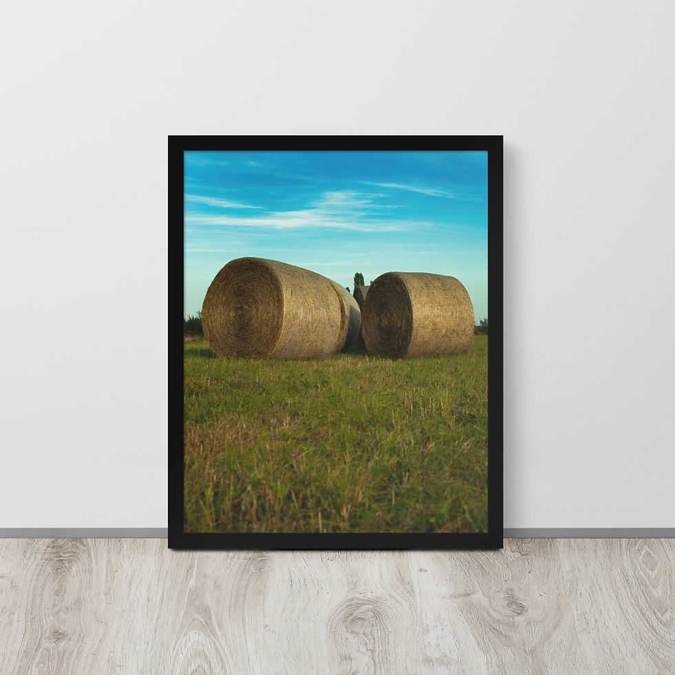 Miniaturbild: Gerahmter Poster: Herbst auf den Feldern