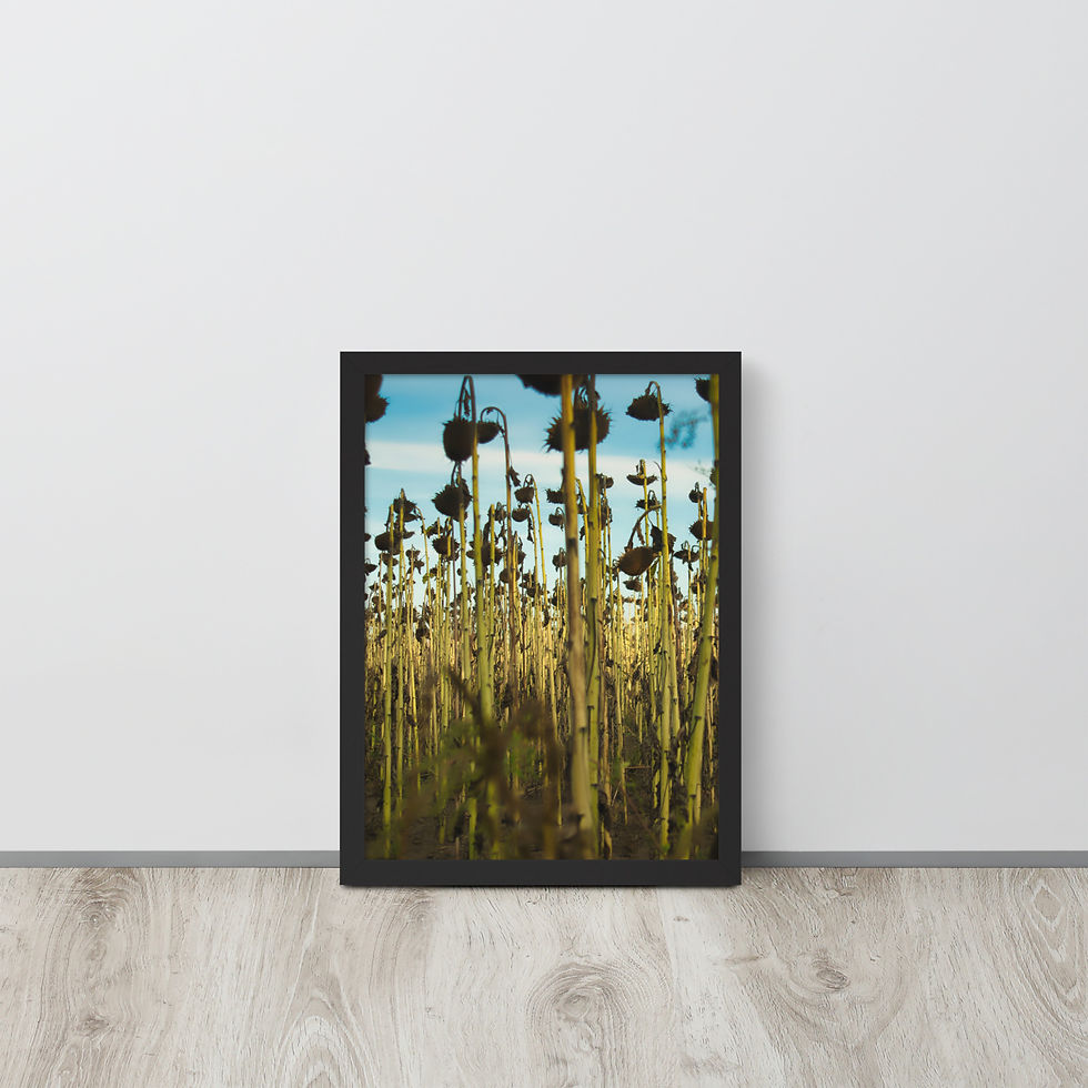 Thumbnail: Gerahmter Poster: Fading Flowers