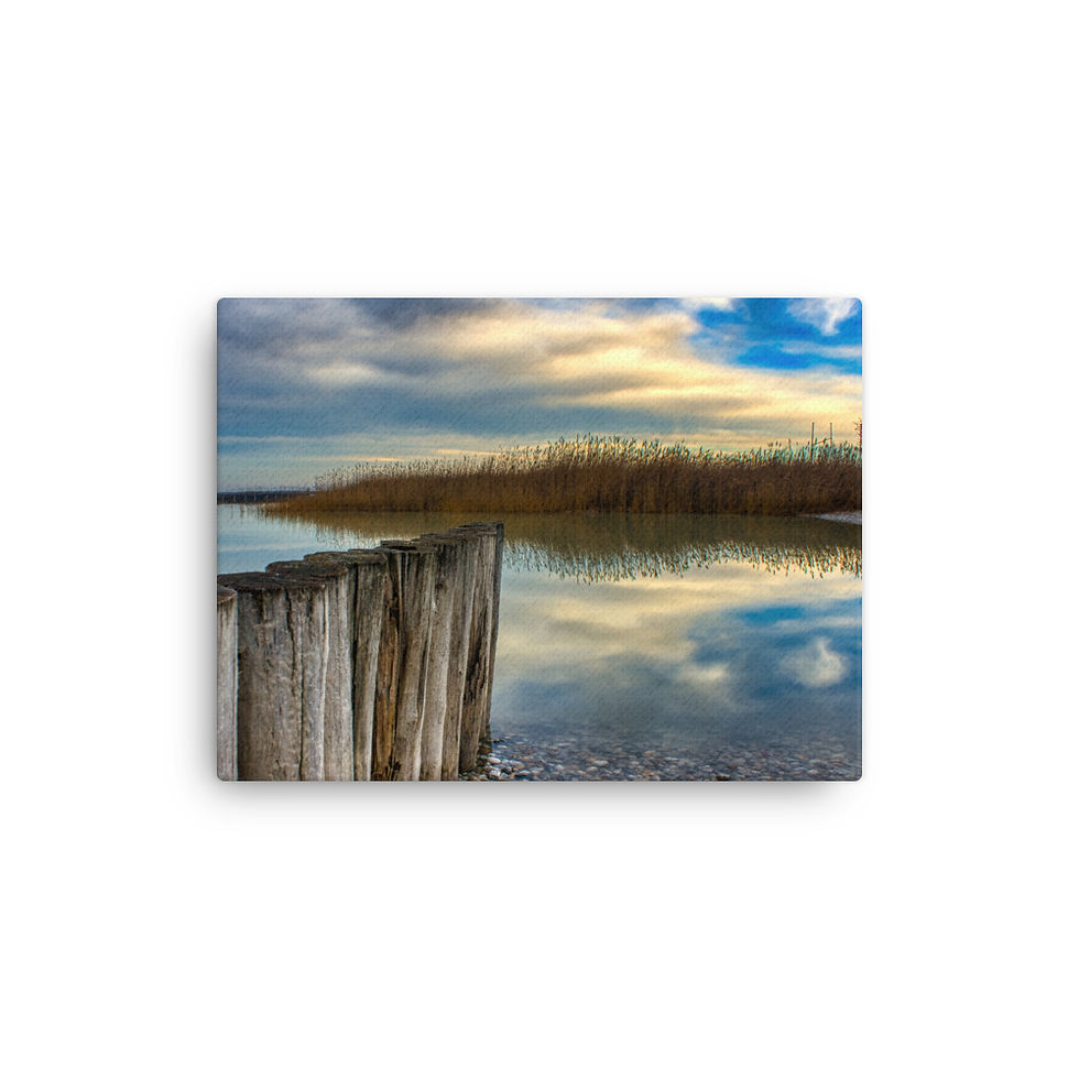 Thumbnail: Canvas: Reflections 