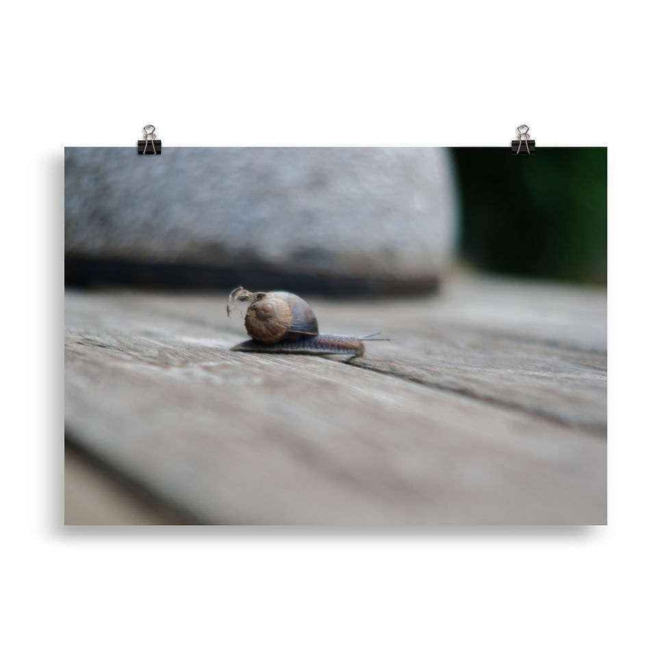 Thumbnail: Poster: Ode an die Entschleunigung.