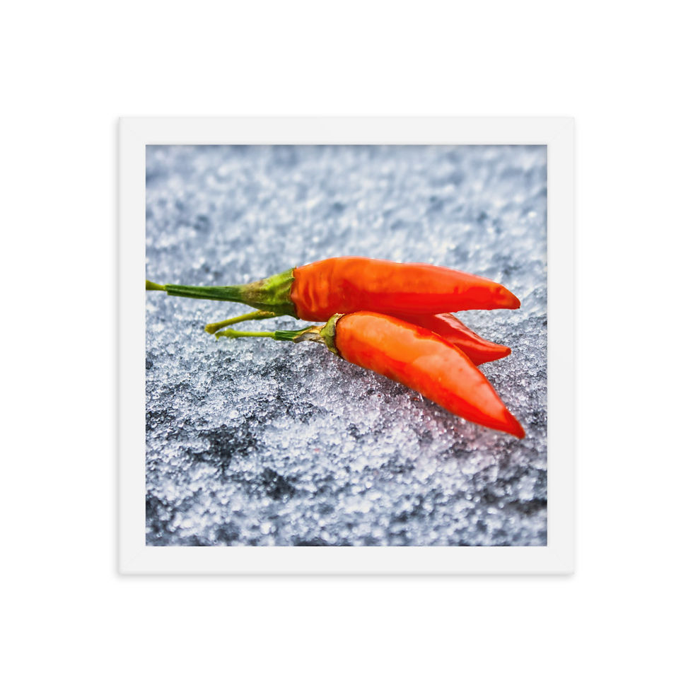 Miniaturbild: Gerahmter Poster: "Fire & Ice"