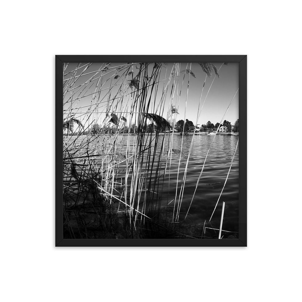 Thumbnail: Gerahmter Poster "An der Alten Donau in Wien #1"