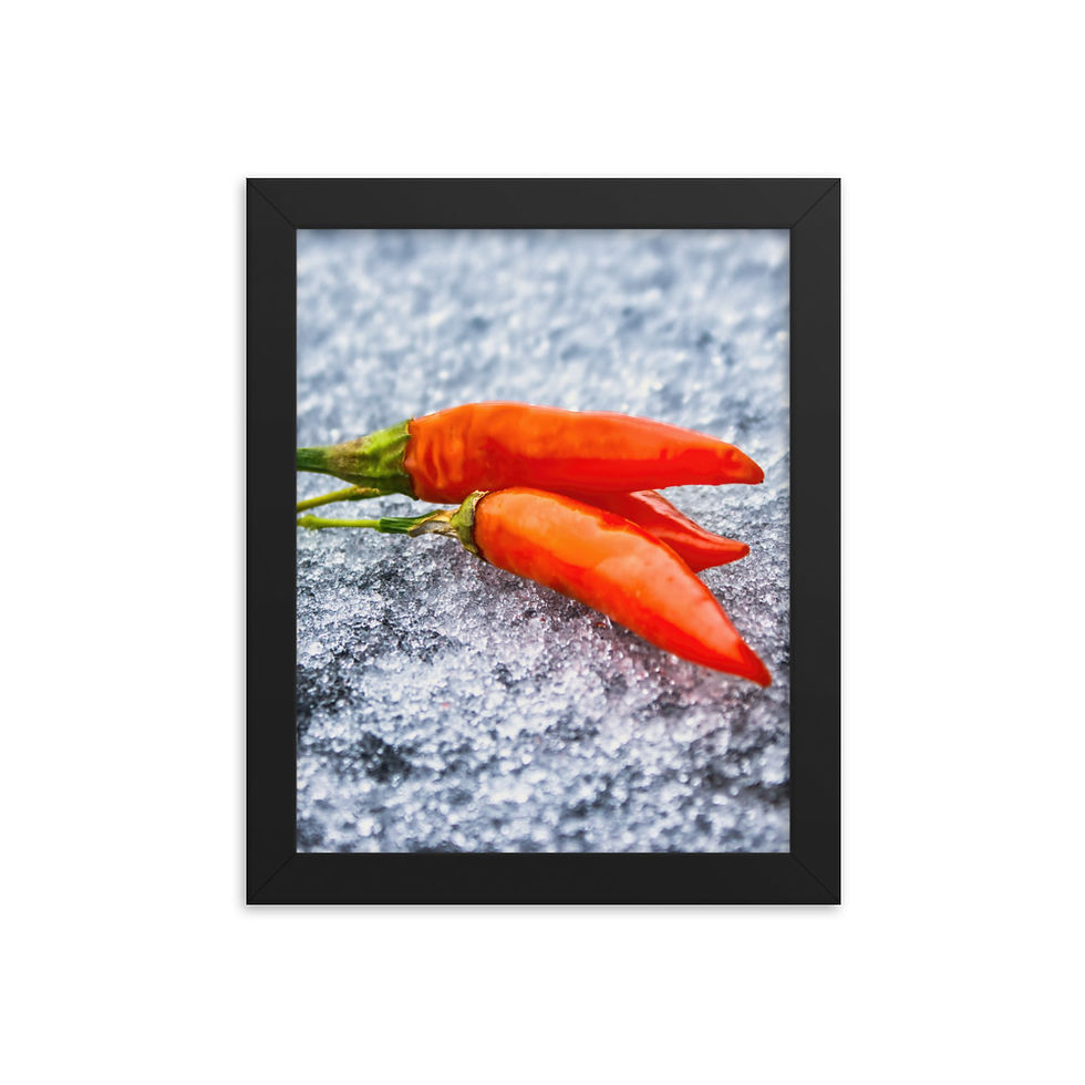 Miniaturbild: Gerahmter Poster: "Fire & Ice"