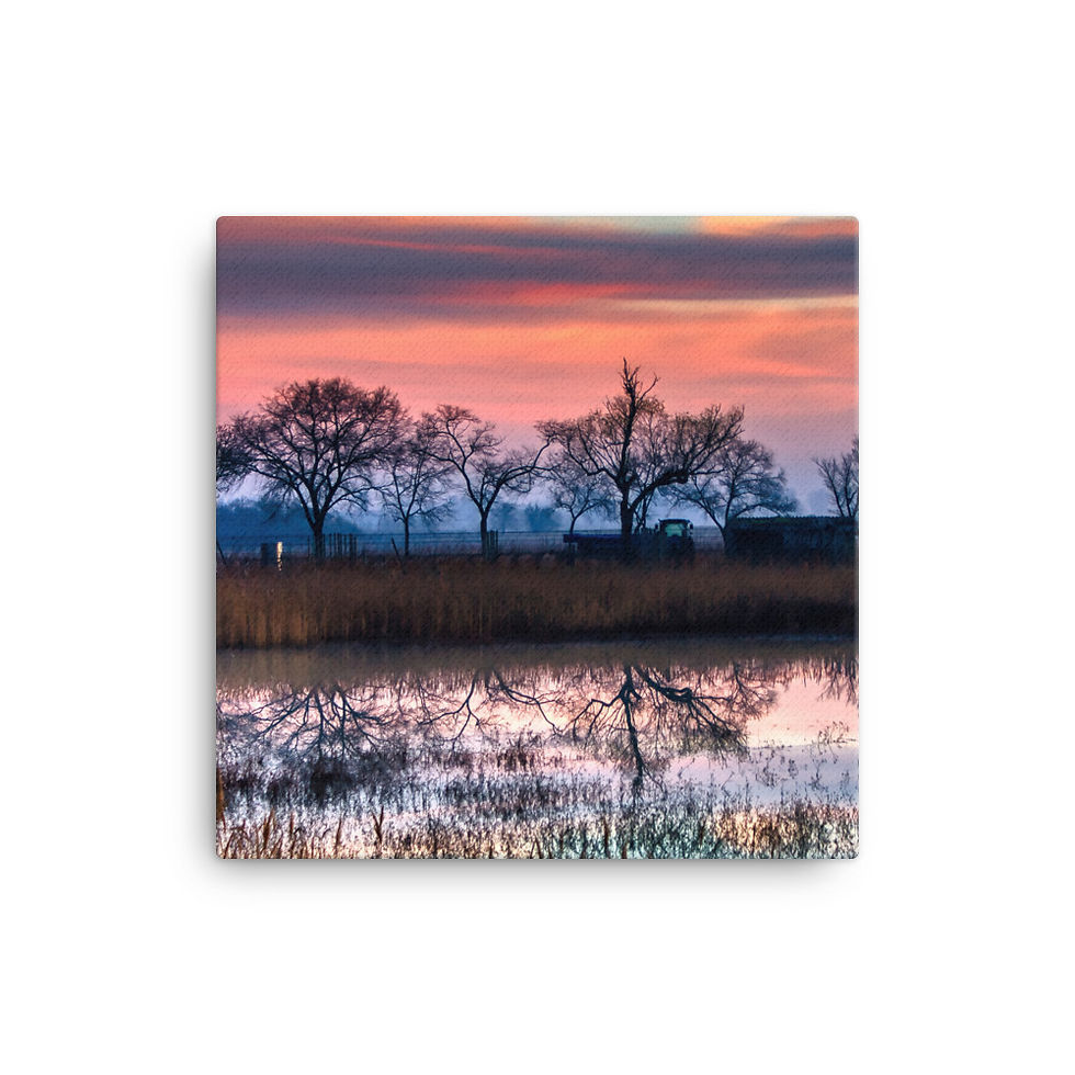 Thumbnail: Leinwand: Mirror in the lake