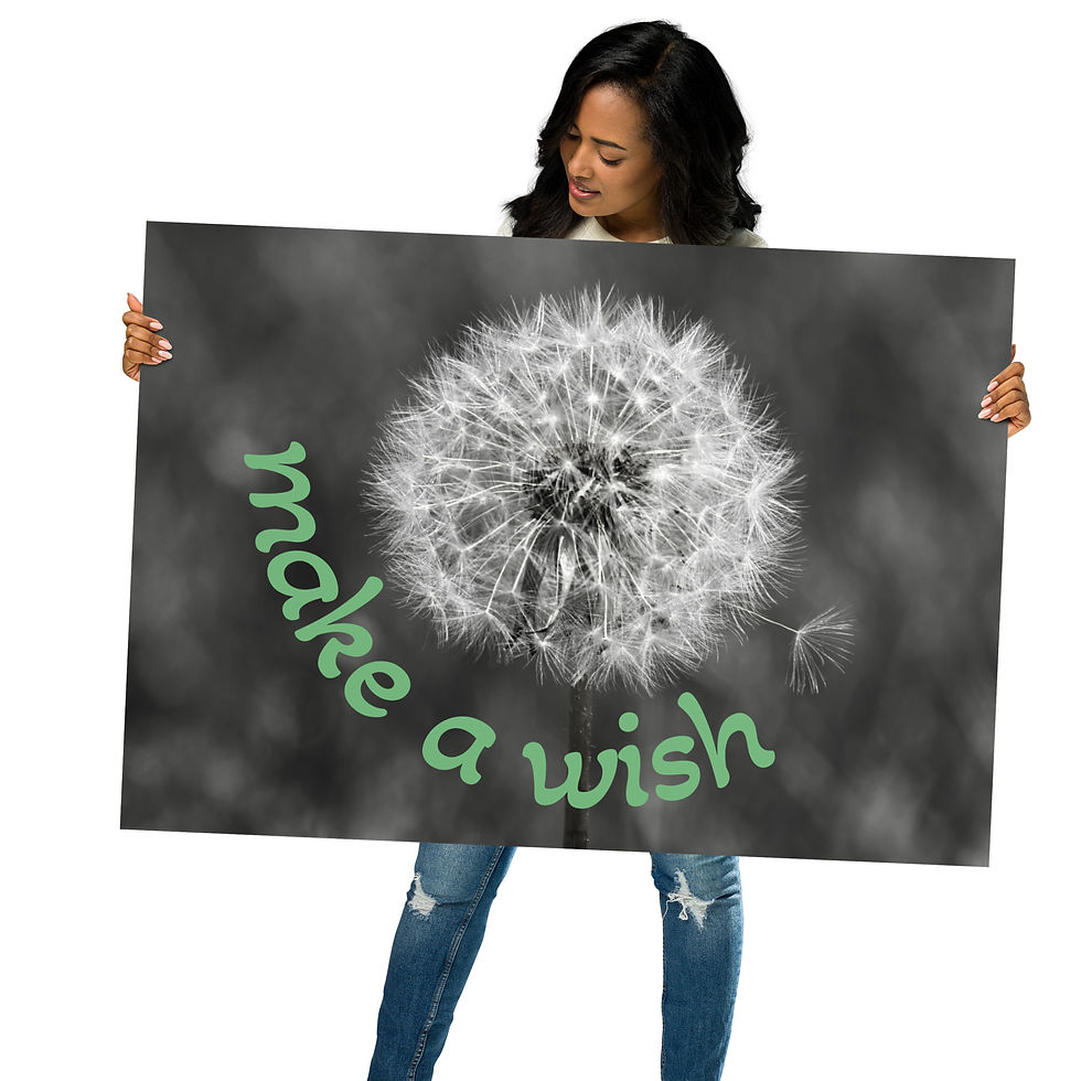 Miniatura: Poster: "make a wish"