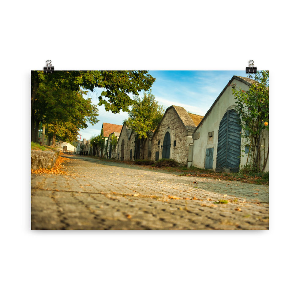 Miniatura: Poster: in der Kellergasse