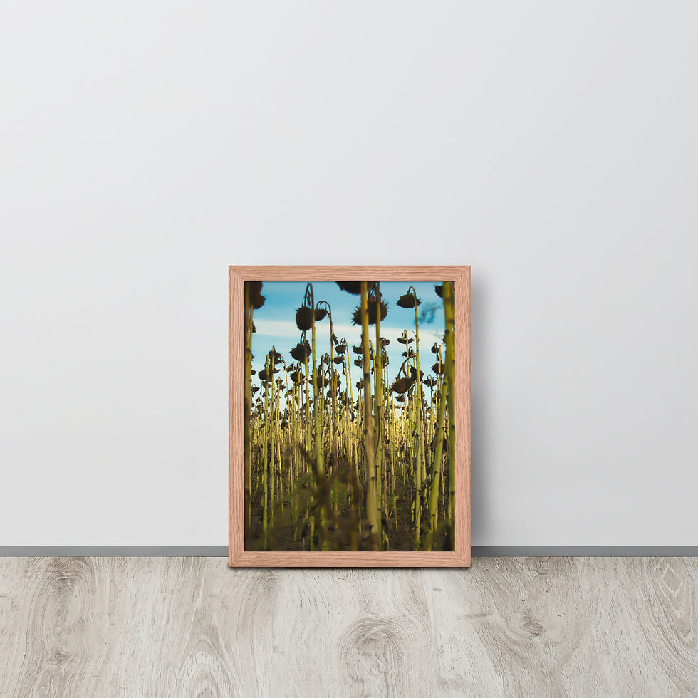 Thumbnail: Gerahmter Poster: Fading Flowers