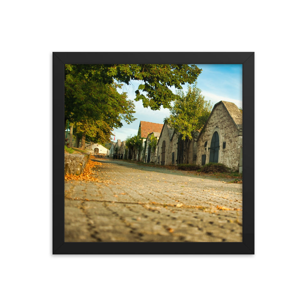 Thumbnail: Gerahmter Poster: in der Kellergasse