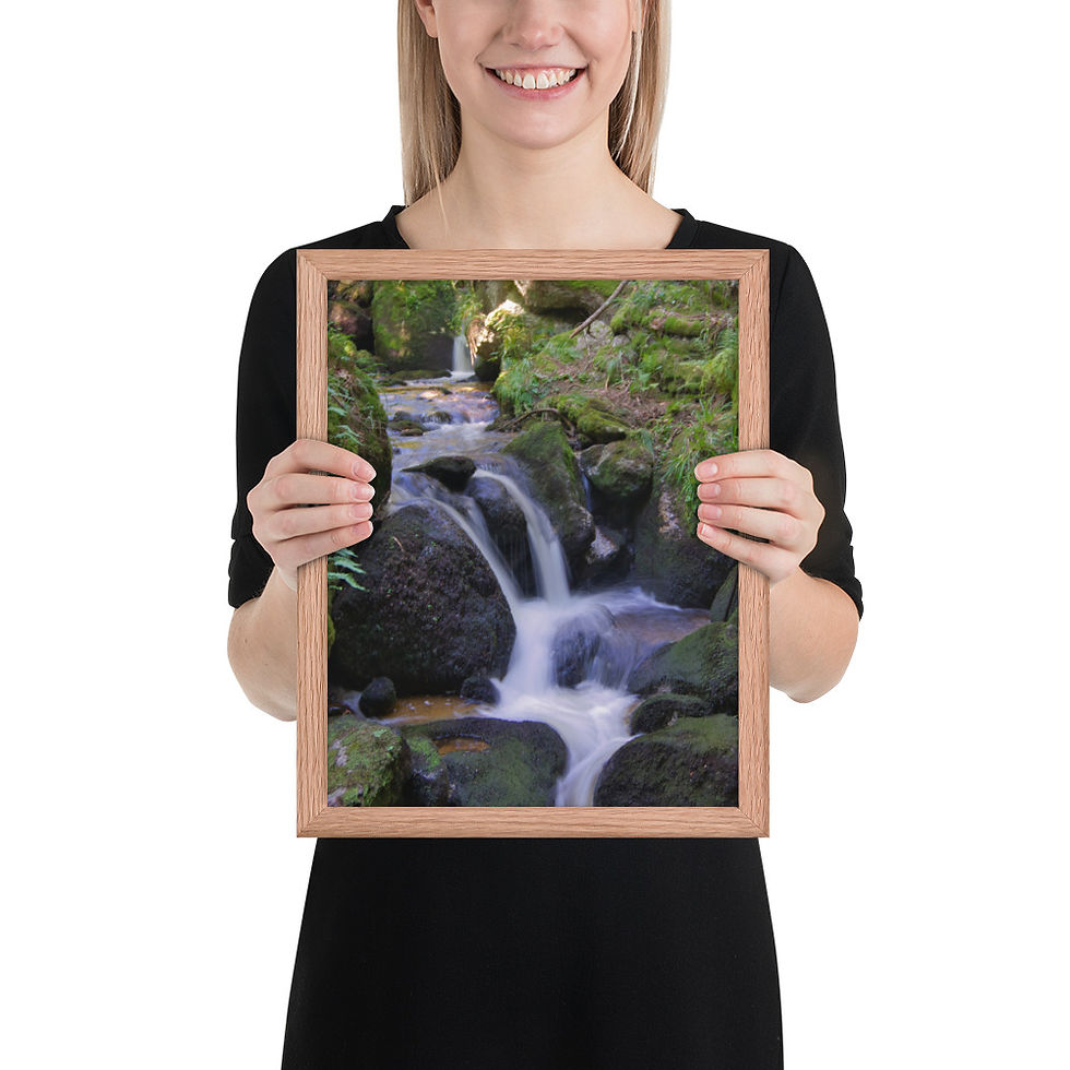 Miniaturbild: Gerahmter Poster: "Bach der Ewigkeit"