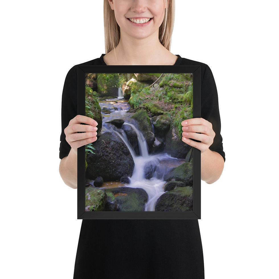 Miniaturbild: Gerahmter Poster: "Bach der Ewigkeit"