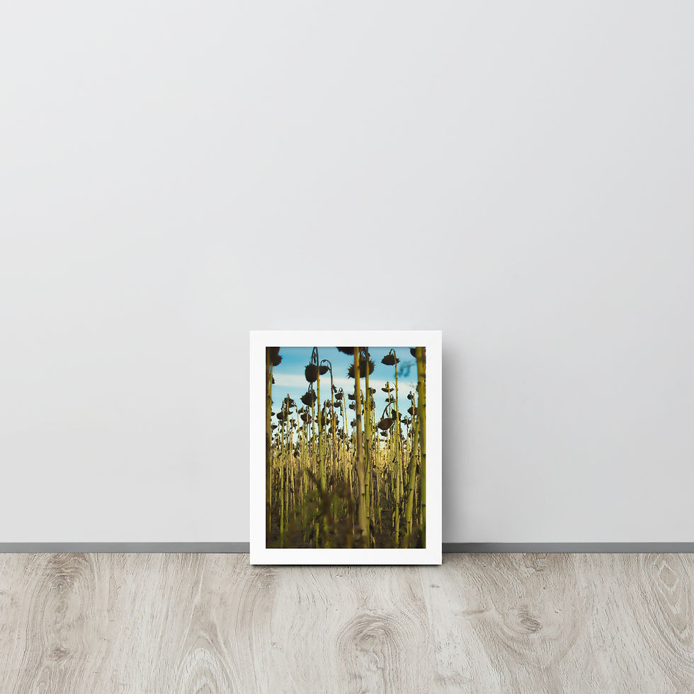Thumbnail: Gerahmter Poster: Fading Flowers