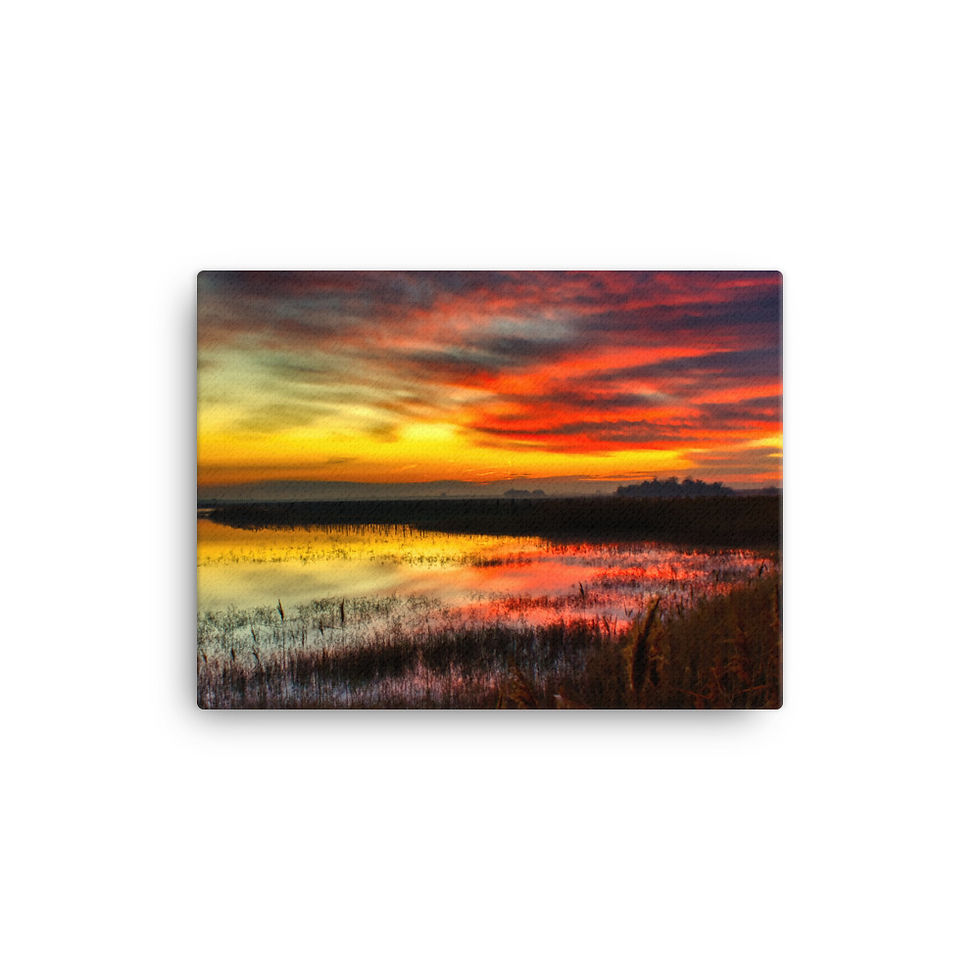Miniaturbild: Leinwand: Dawn 