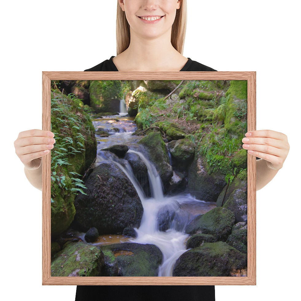 Miniaturbild: Gerahmter Poster: "Bach der Ewigkeit"