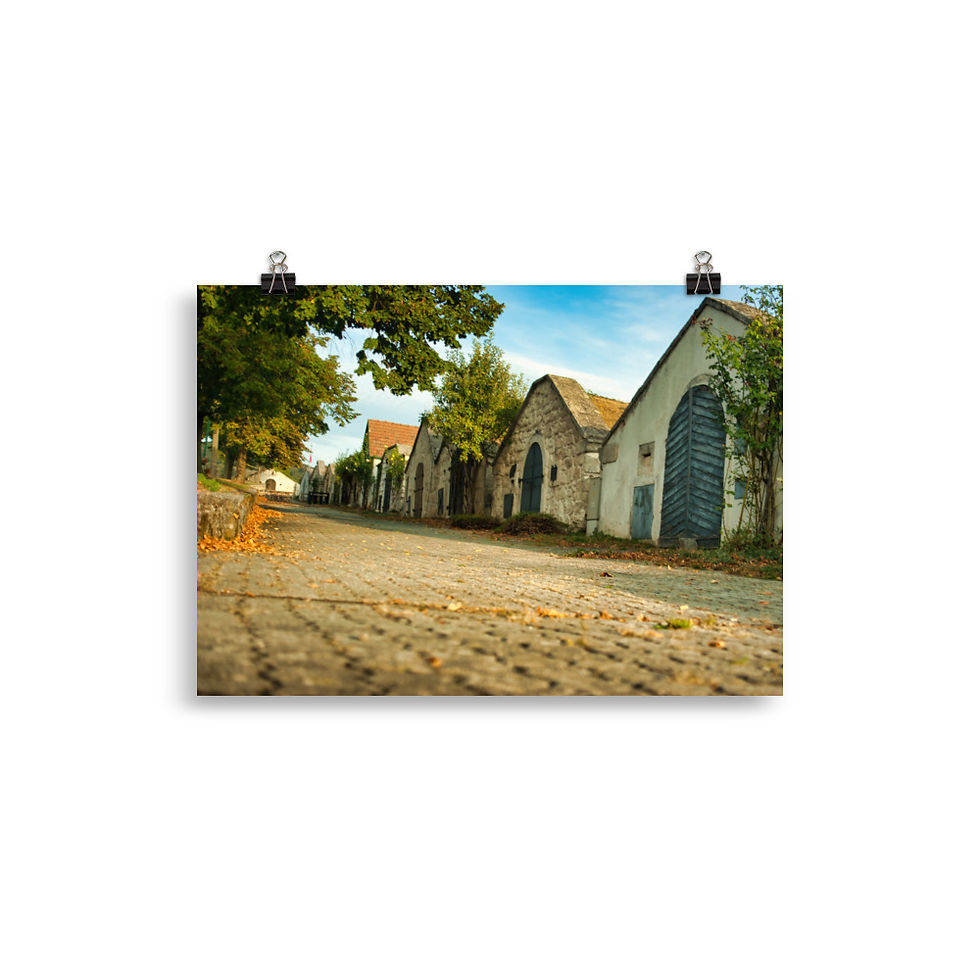 Miniatura: Poster: in der Kellergasse