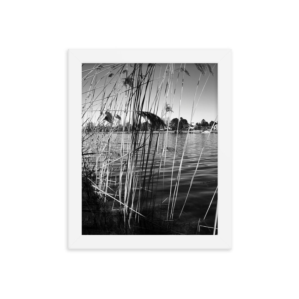 Miniaturbild: Gerahmter Poster "An der Alten Donau in Wien #1"