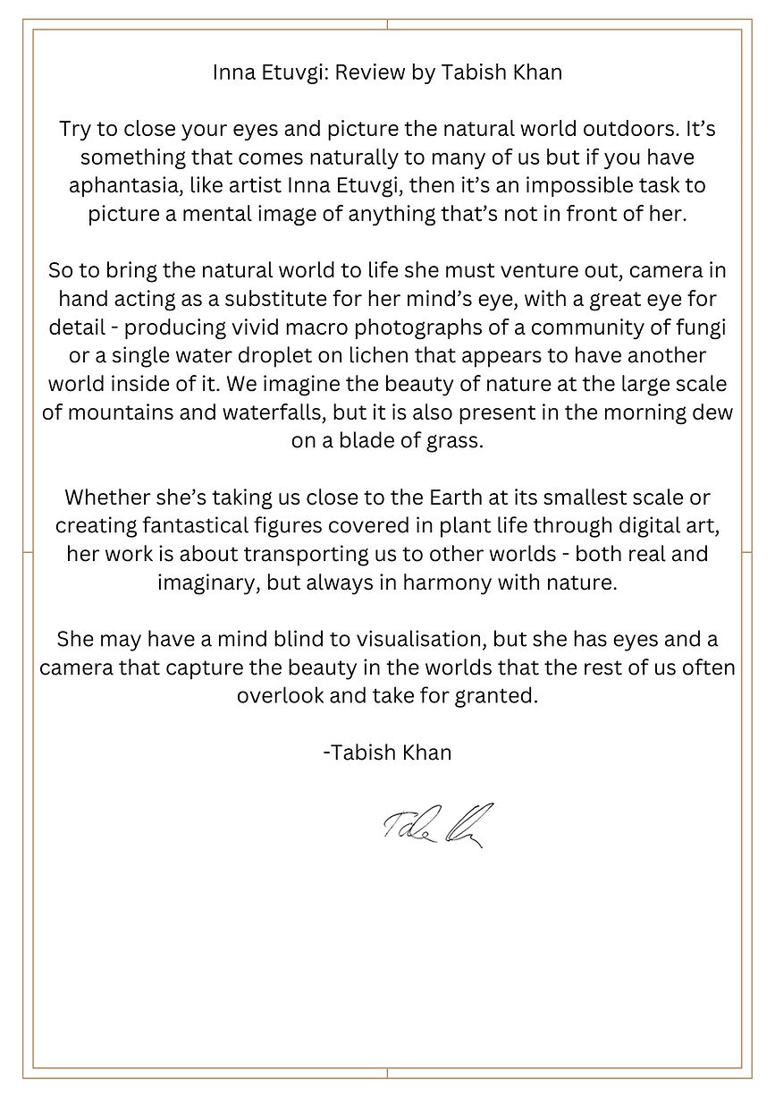 Review for the art of Inna Etuvgi by art critic Tabish Khan