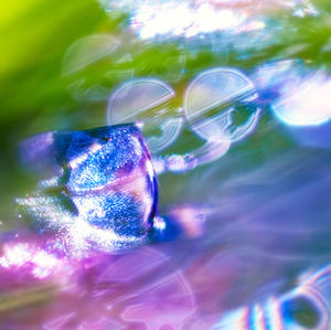 The Watcher – fine art photography print of a dewdrop on grass, resembling a mysterious eye, captured by Inna Etuvgi. A luminous macro photo exploring perception and nature’s quiet observation.