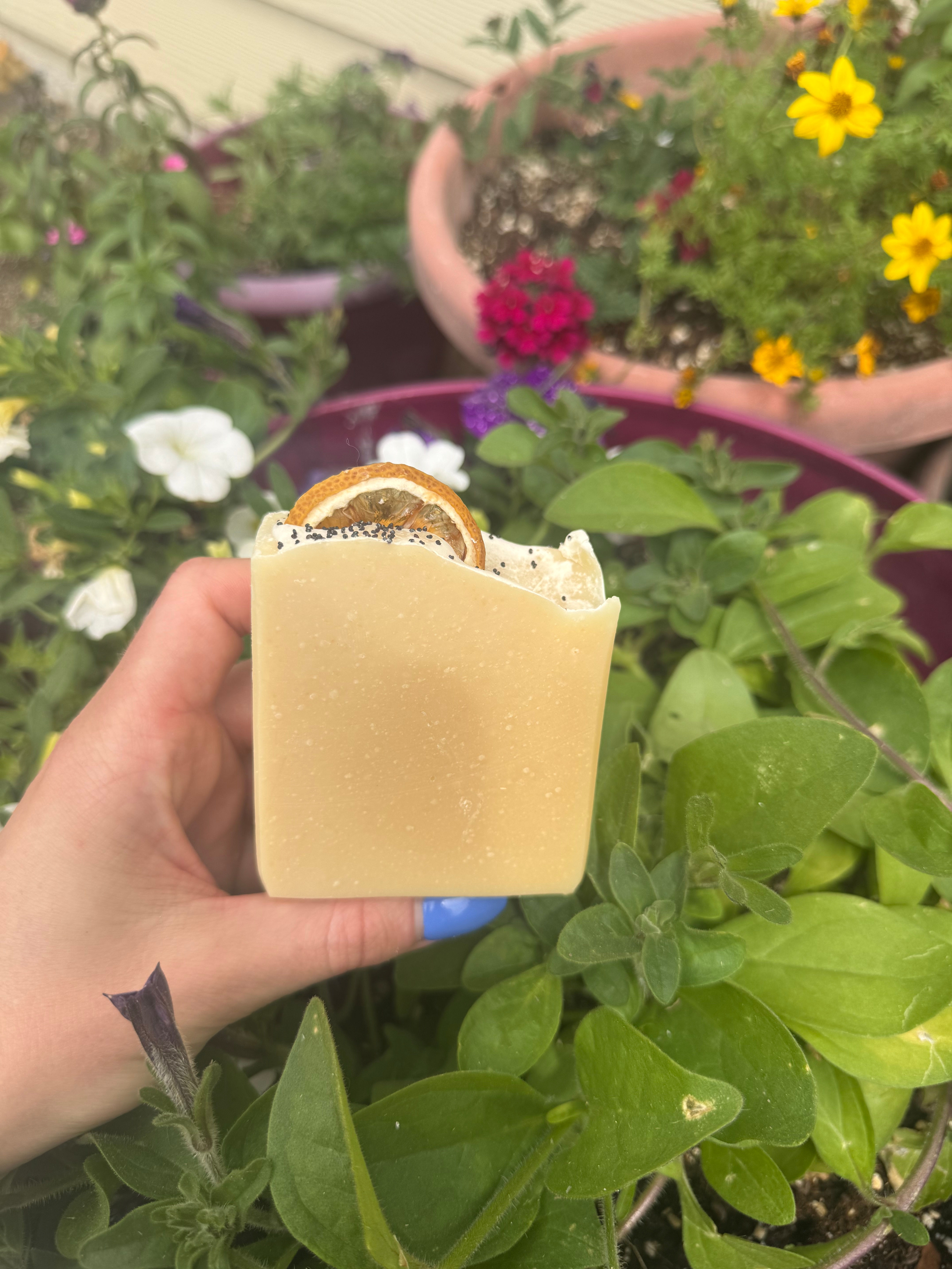 Citrus Burst Tallow Soap