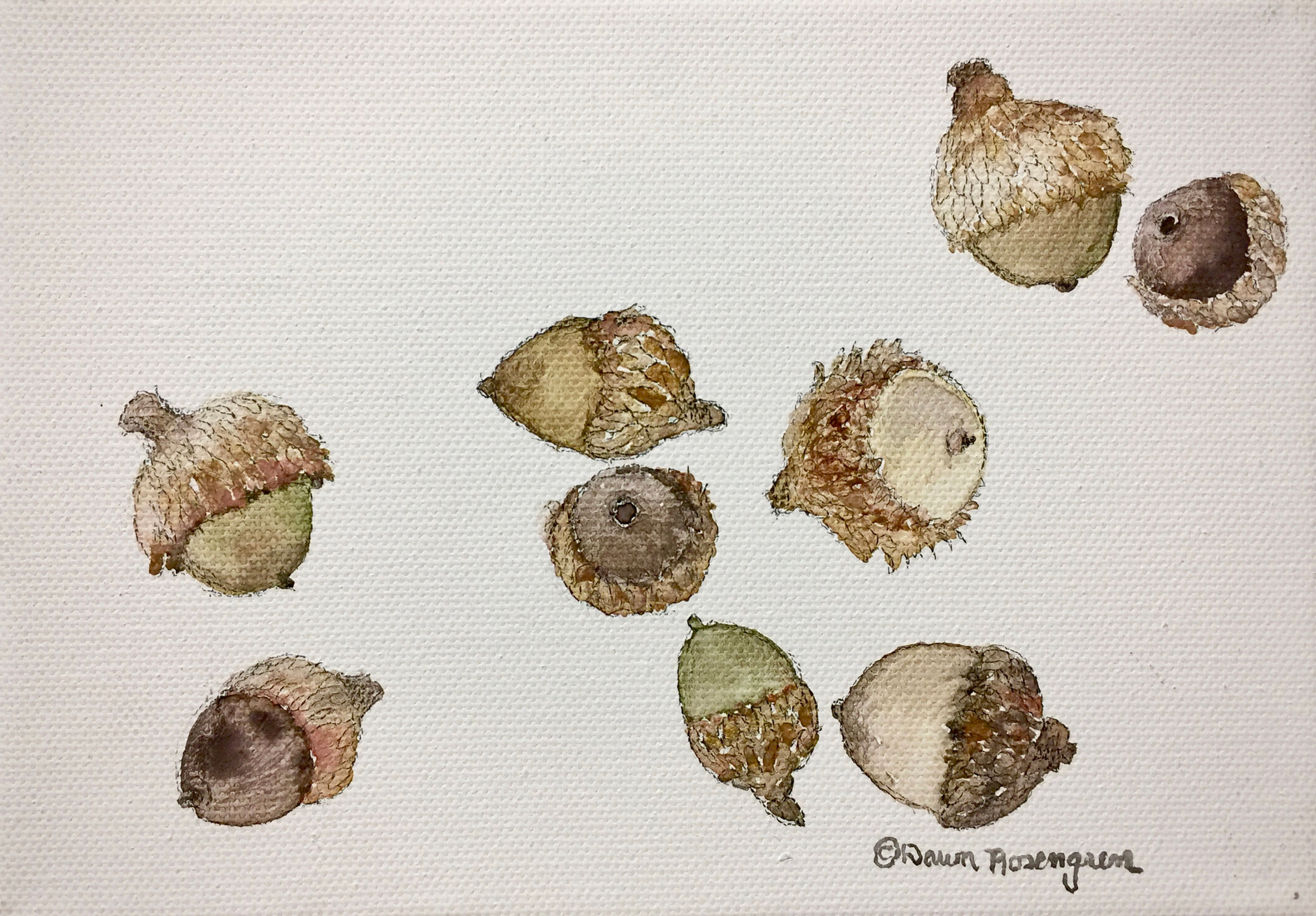 5x7 Print on Watercolor Paper