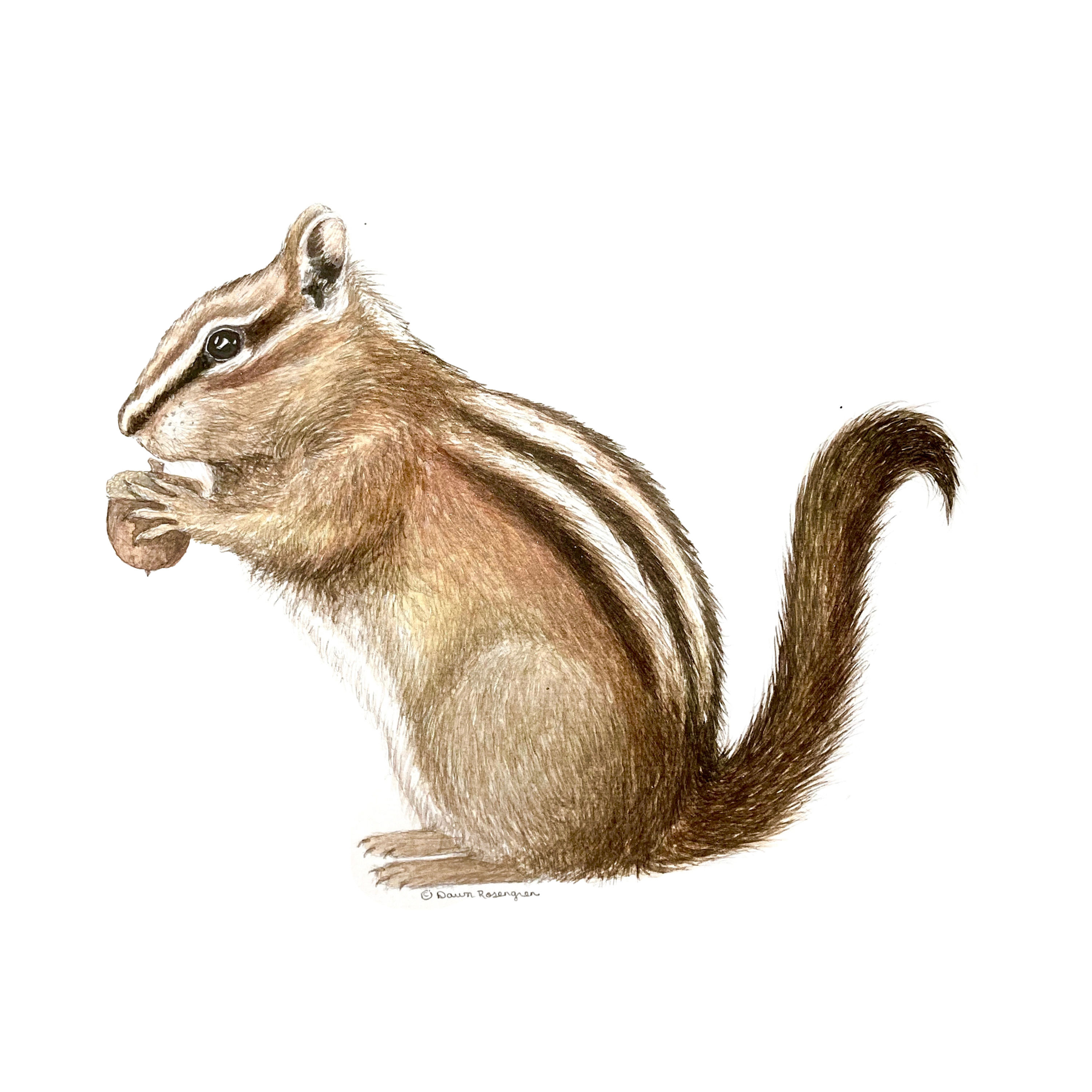 8x8 Print on Watercolor Paper