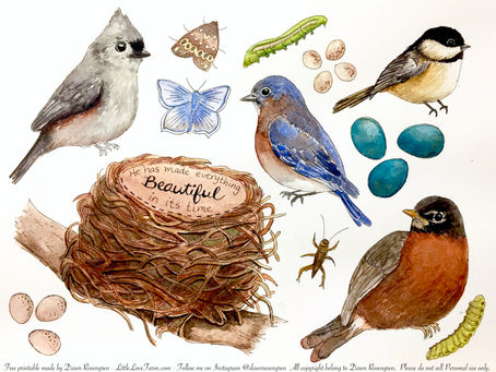 FREE DOWNLOAD - Bird Color Page Craft