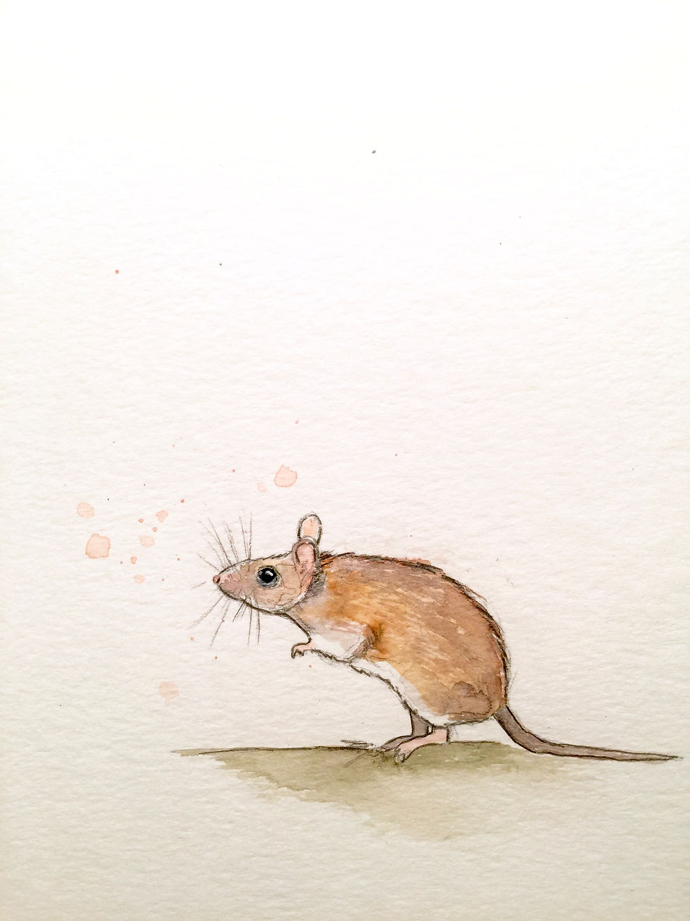 5x7 Print on Watercolor Paper