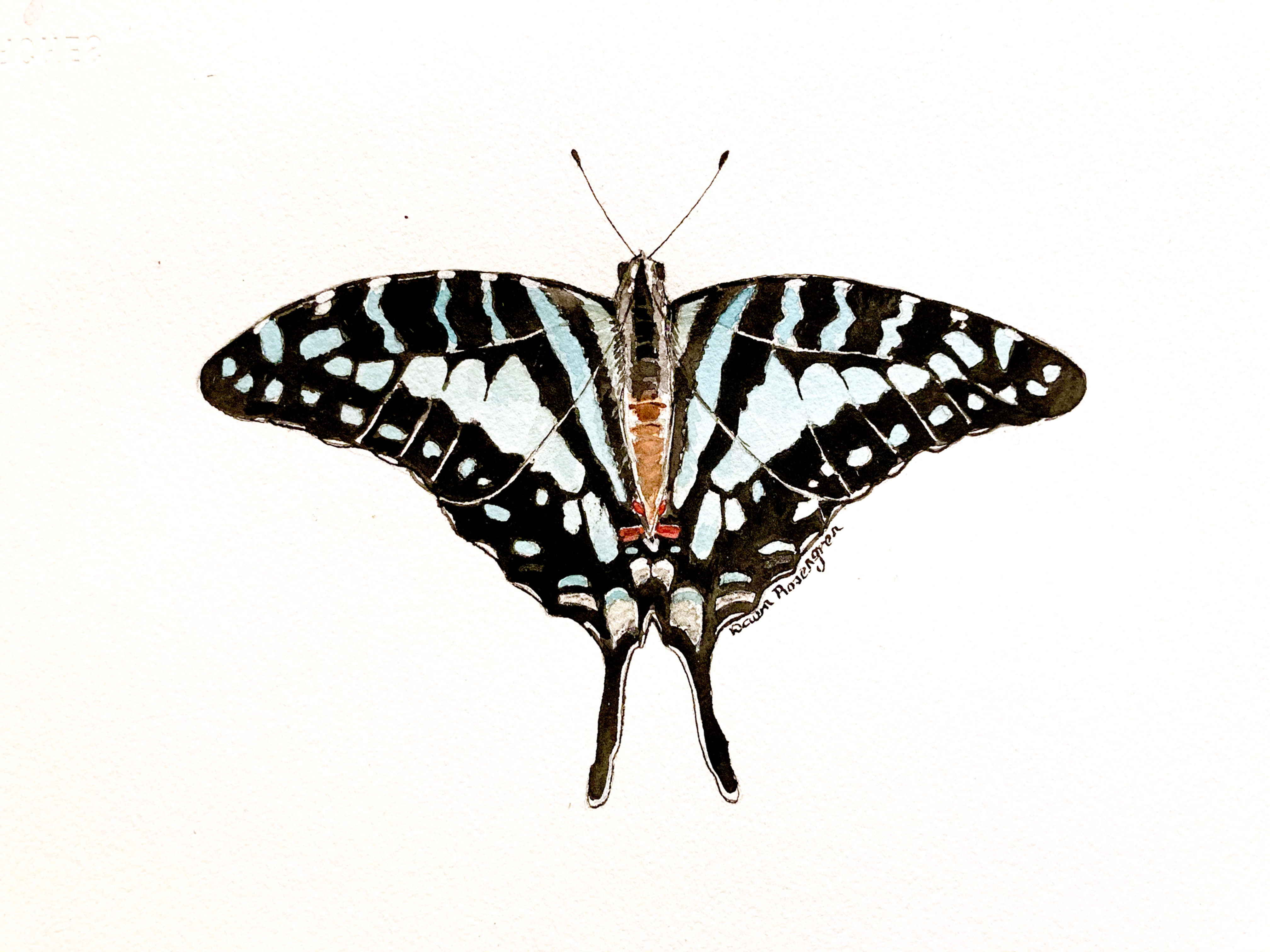 5x7 Print on Watercolor Paper