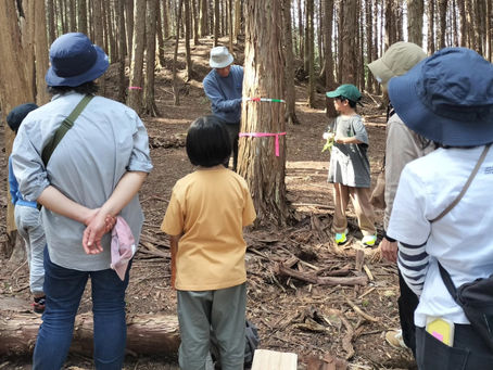 【イベント】森で遊ぼう~はじまりの森を観察しよう4月5日(日)