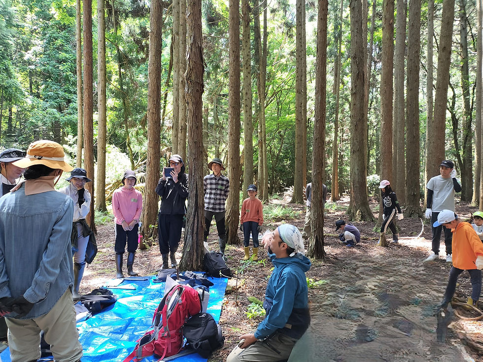 5月24日皮むき間伐レポート