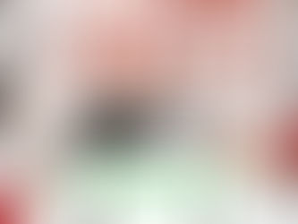 드라포레 12월 프로모션