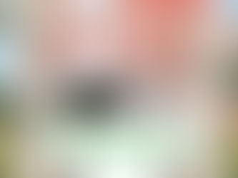 드라포레 6월 프로모션