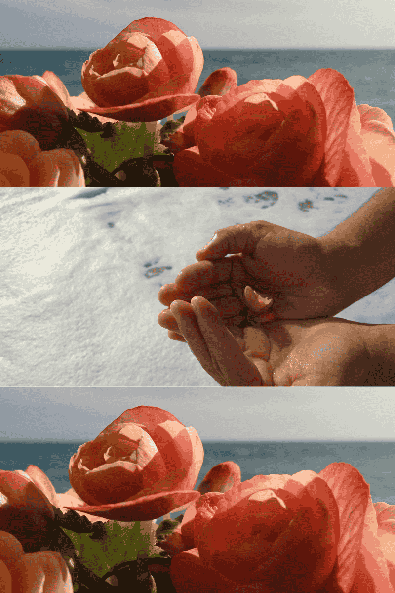 sensibilidad flor mar masaje