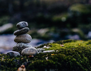 AdobeStock_241957180_edited.jpg