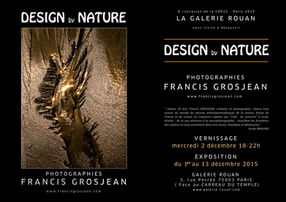 Galerie Rouan Paris - Design by Nature