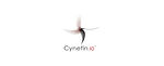 Cynefin (Complexity and Sense-Making)