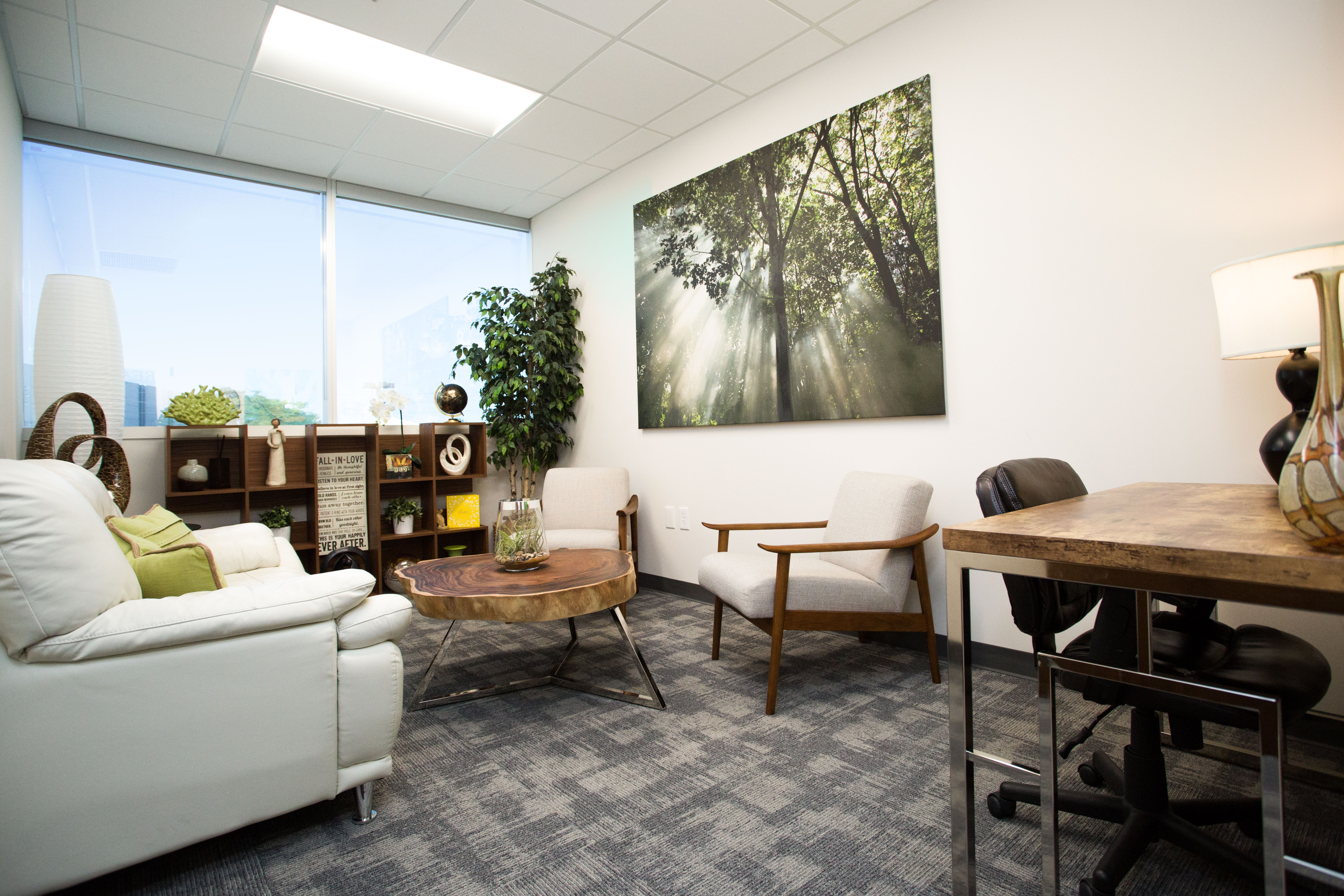 Bayview Therapy- Harmony 1