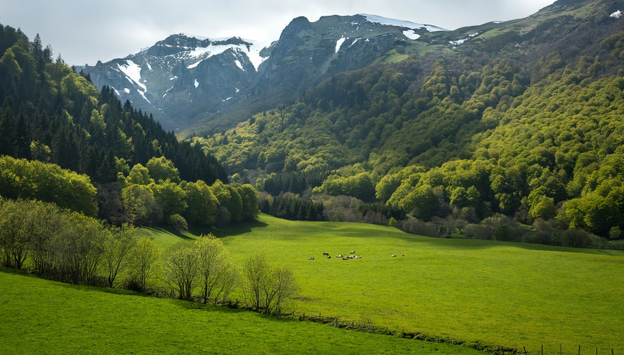 Vallée de Chaudefour au printemps.