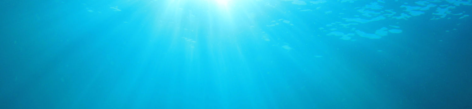Plastic Polluted Ocean_edited.jpg