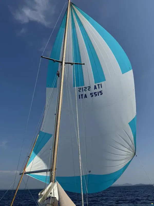 666742-f8ffb31f18aa0bb48cc8284ff2701e8f-x-7851620-bc0a1df1c02c1549516798a19d3a2295