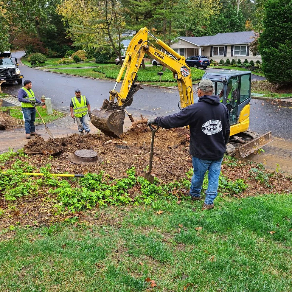 diggin - Copy.jpg