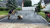 asphalt driveway.jpg