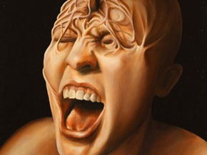 El lado salvaje de la vida: cuerpos y emociones