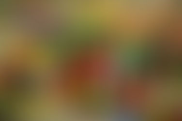 AS REPRESENTAÇÕES DO CORPO NO ARTESANATO DE MIRITI