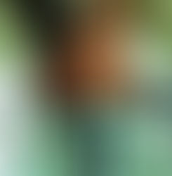 Flaubert, 20 rutas (vídeo instalación)