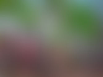 Cuerpos disciplinados, cuerpos disidentes: interpelaciones en juego y nociones de salud ...