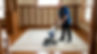 carpet_uphostery_cleaning_minnetonka_handyman_01.jpg