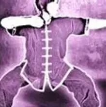 Surrey & Hants Tai Chi