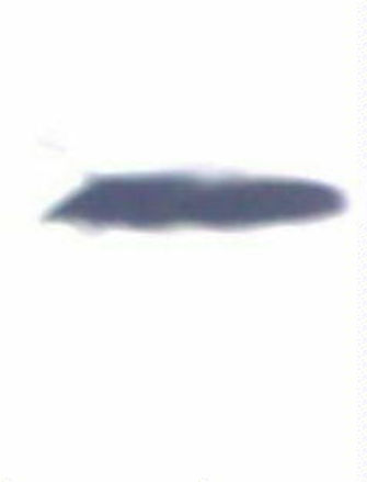 WRZESIEŃ_2016_011.jpg