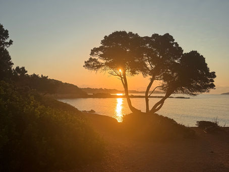 Summer re awakening 